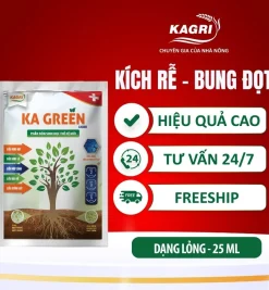 KA GREEN GÓI 25 ML