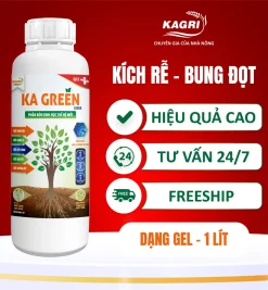 KA GREEN LIQUID 1 LÍT