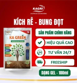 KA GREEN LIQUID 100ML