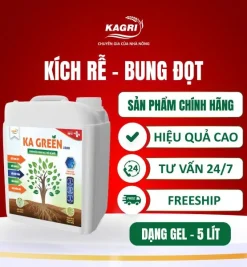 KA GREEN LIQUID 5 LÍT