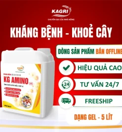 KG AMINO LINE 5 LÍT